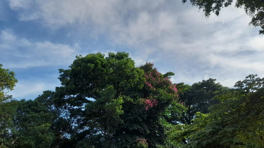 Prakiraan Cuaca Kabupaten Pangandaran Hari Ini, Sabtu 6 Desember 2025