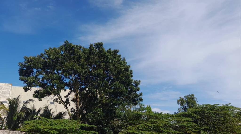 Prakiraan Cuaca Kota Tasikmalaya Hari Ini, Rabu 19 Agustus 2026