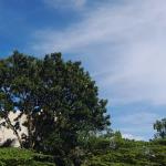 Prakiraan Cuaca Kabupaten Ciamis Hari Ini, Sabtu 26 September 2026