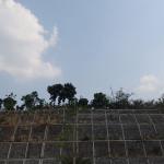 Prakiraan Cuaca Kabupaten Tasikmalaya Hari Ini, Minggu 27 September 2026