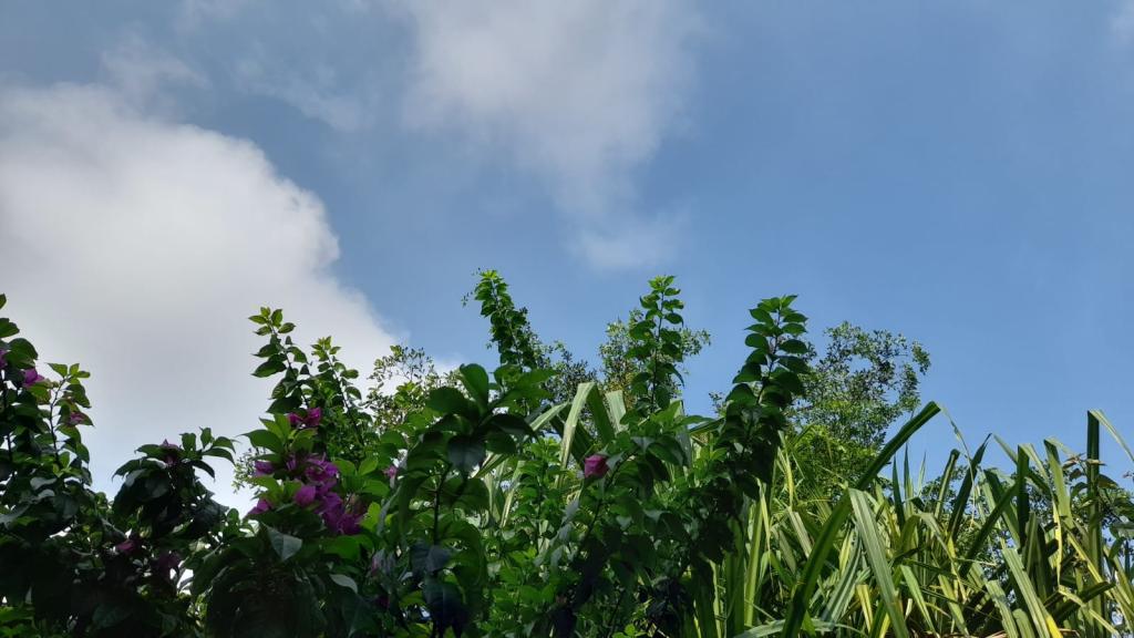 Prakiraan Cuaca Kabupaten Garut Hari Ini, Rabu 19 Agustus 2026