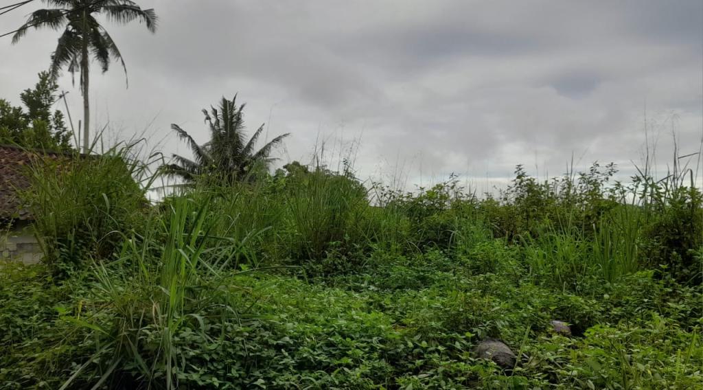Prakiraan Cuaca Kabupaten Ciamis Hari Ini, Jumat 21 November 2025