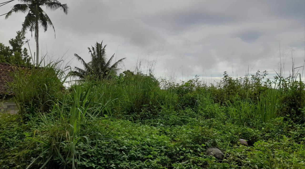 Prakiraan Cuaca Kabupaten Ciamis Hari Ini, Jumat 21 November 2025