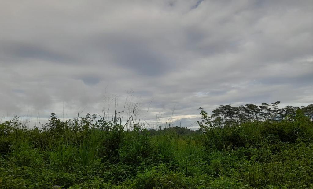 Prakiraan Cuaca Kabupaten Pangandaran Hari Ini, Kamis 26 Maret 2026