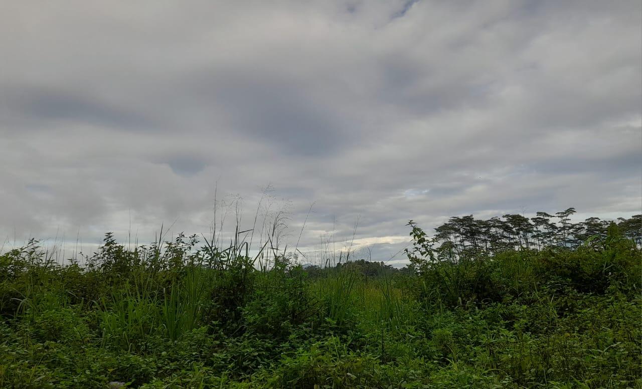 Prakiraan Cuaca Kota Tasikmalaya Hari Ini, Jumat 23 Januari 2026