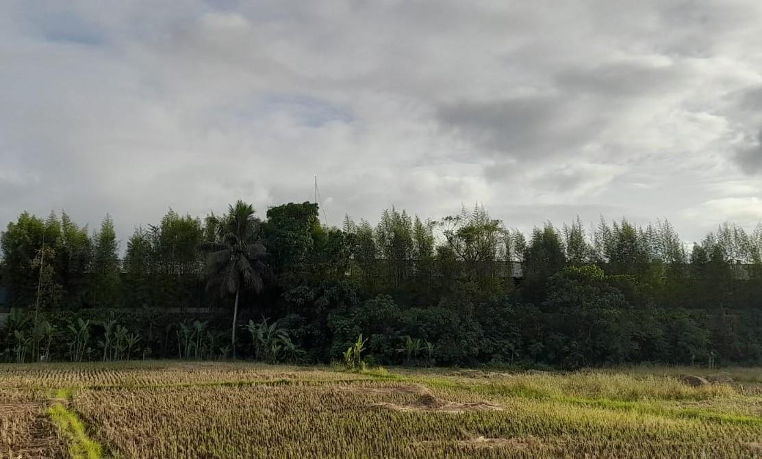 Prakiraan Cuaca Kabupaten Pangandaran Hari Ini, Minggu 22 Februari 2026