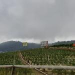 Prakiraan Cuaca Kota Banjar Hari Ini, Minggu 4 Oktober 2026