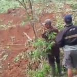 4 Petani Tertimbun Longsor di Salawu Tasikmalaya, 2 Masih dalam Pencarian