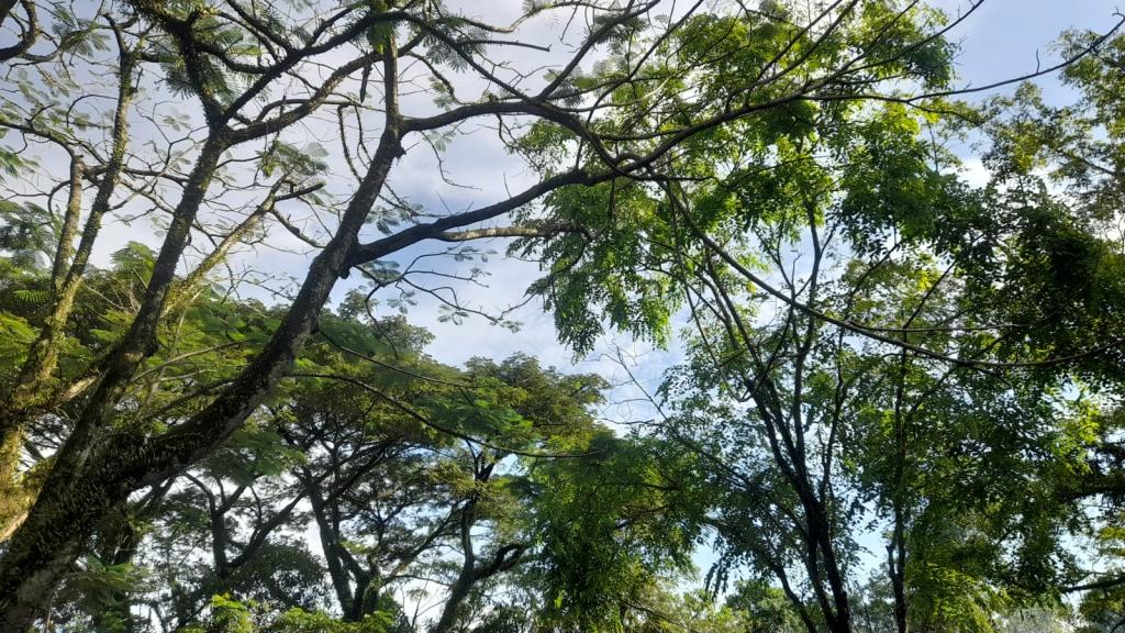 Prakiraan Cuaca Kabupaten Tasikmalaya Hari Ini, Rabu 6 Mei 2026