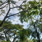 Prakiraan Cuaca Kabupaten Garut Hari Ini, Jumat 21 Agustus 2026