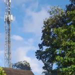 Prakiraan Cuaca Kota Tasikmalaya Hari Ini, Sabtu 22 Agustus 2026