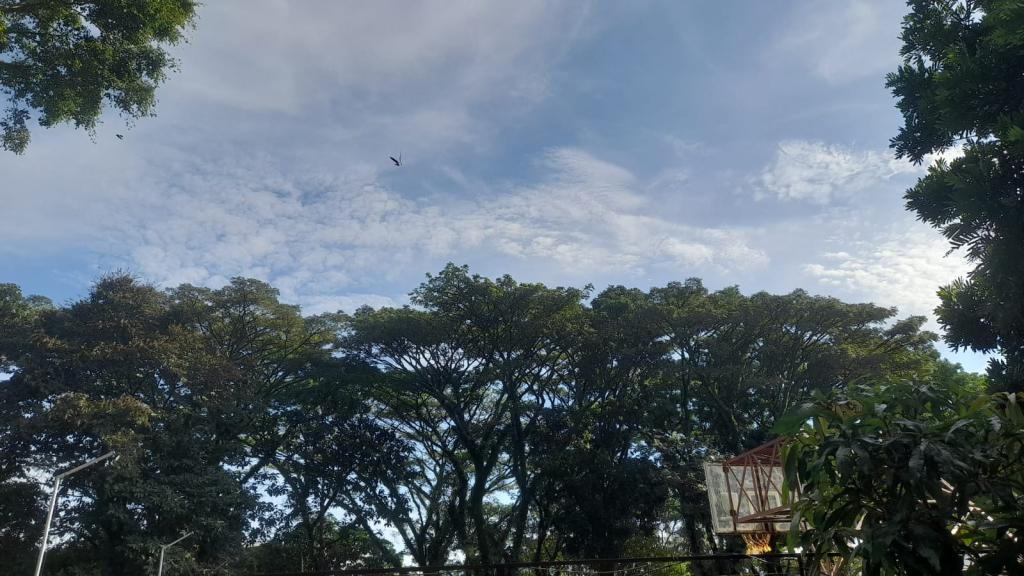Prakiraan Cuaca Kabupaten Ciamis Hari Ini, Minggu 23 Agustus 2026