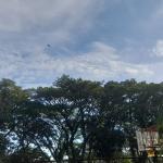 Prakiraan Cuaca Kabupaten Ciamis Hari Ini, Minggu 23 Agustus 2026