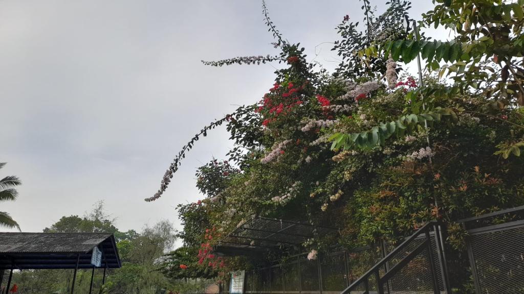 Prakiraan Cuaca Kabupaten Tasikmalaya Hari Ini, Minggu 4 Oktober 2026