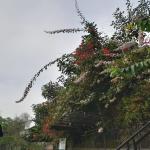 Prakiraan Cuaca Kabupaten Tasikmalaya Hari Ini, Minggu 4 Oktober 2026