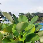 Prakiraan Cuaca Kabupaten Garut Hari Ini, Minggu 2 Agustus 2026