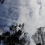 Prakiraan Cuaca Kabupaten Garut Hari Ini, Minggu 4 Oktober 2026