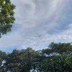 Prakiraan Cuaca Kabupaten Tasikmalaya Hari Ini, Minggu 23 Agustus 2026