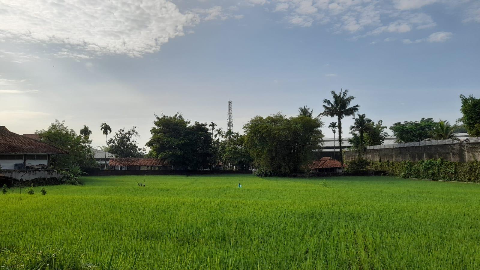Prakiraan Cuaca Kabupaten Pangandaran Hari Ini, Minggu 14 Juni 2026