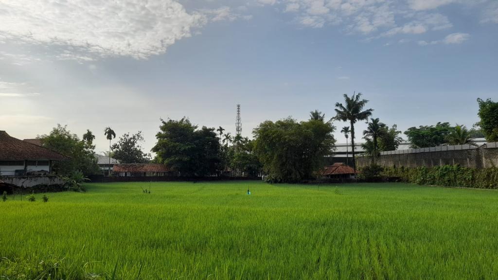 Prakiraan Cuaca Kabupaten Garut Hari Ini, Minggu 23 Agustus 2026