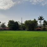 Prakiraan Cuaca Kabupaten Garut Hari Ini, Minggu 23 Agustus 2026