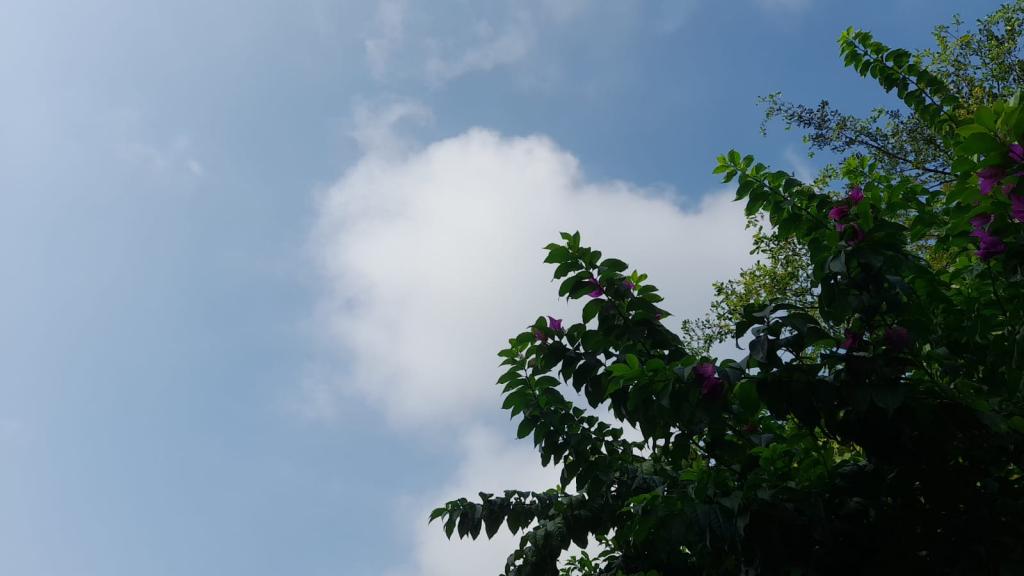 Prakiraan Cuaca Kabupaten Garut Hari Ini, Kamis 12 Maret 2026