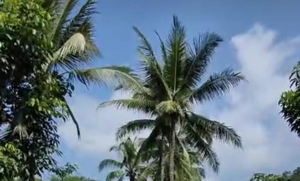 Prakiraan Cuaca Kabupaten Pangandaran Hari Ini, Sabtu 6 September 2025
