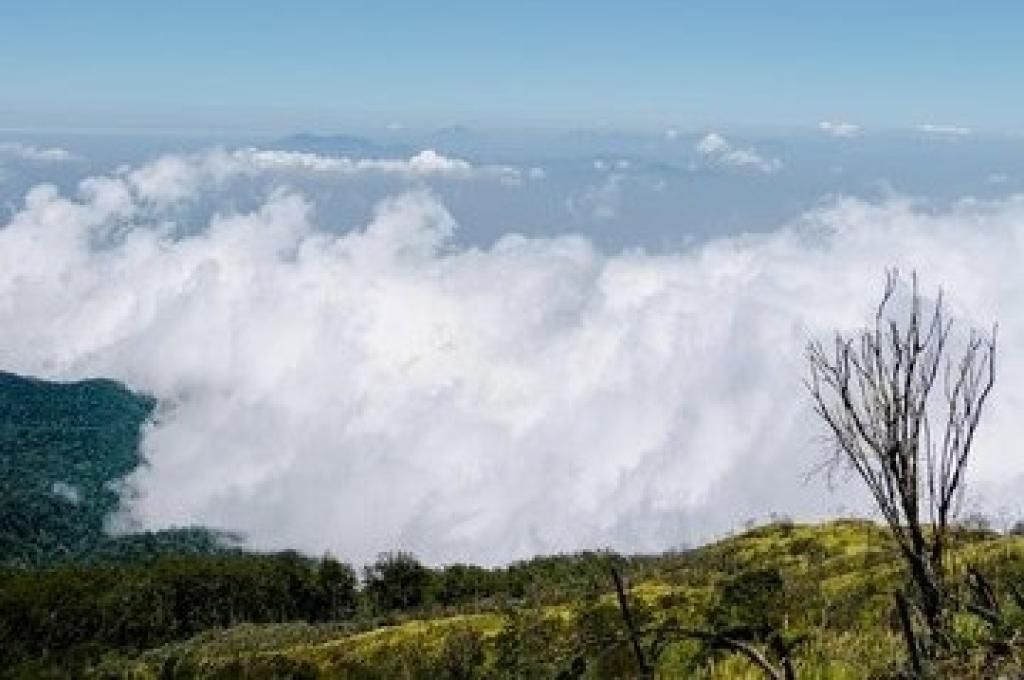 Prakiraan Cuaca Kota Tasikmalaya Hari Ini Minggu 29 September 2024, Pagi Hari Berawan