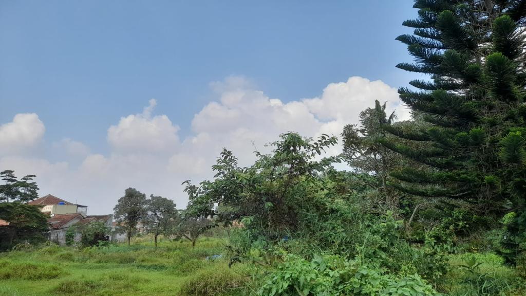 Prakiraan Cuaca Kabupaten Pangandaran Hari Ini, Selasa 12 Mei 2026