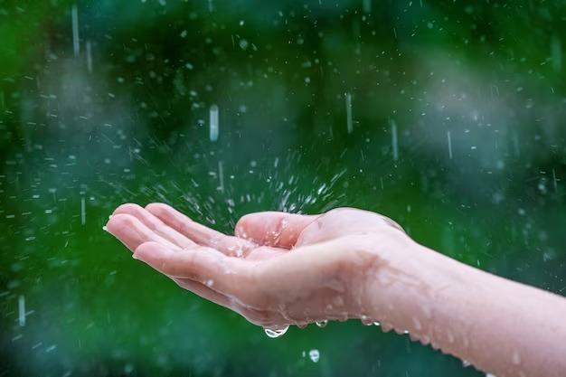 Prakiraan Cuaca Kabupaten Ciamis Hari Ini, Sabtu 7 Juni 2025