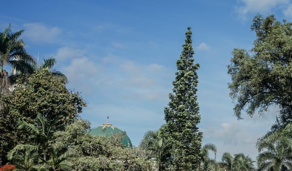Prakiraan Cuaca Kabupaten Ciamis Hari Ini, Minggu 28 Juni 2026