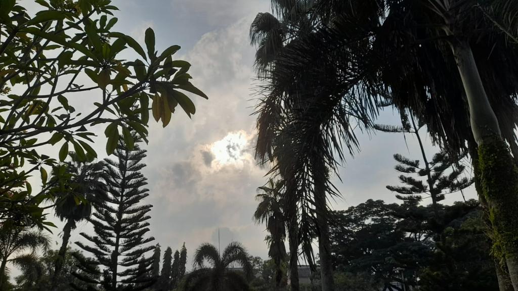 Prakiraan Cuaca Kabupaten Pangandaran Hari Ini, Rabu 25 Februari 2026