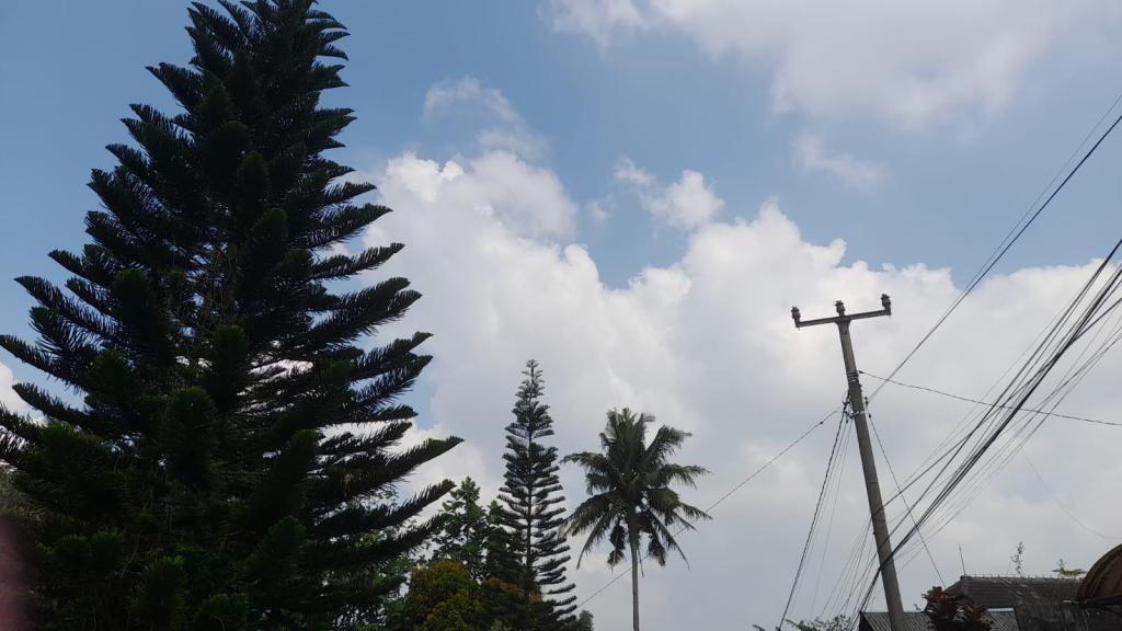 Prakiraan Cuaca Kabupaten Ciamis Hari Ini, Sabtu 23 Agustus 2025