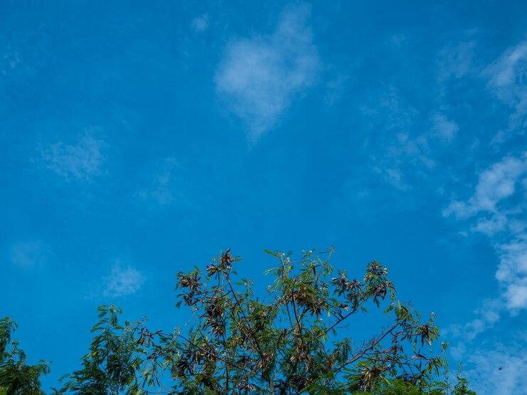 Prakiraan Cuaca Kabupaten Tasikmalaya Hari Ini Minggu 17 November 2024, Suhu Terendah 19 Derajat Celsius