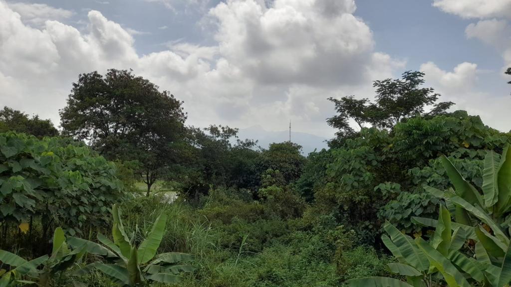 Prakiraan Cuaca Kabupaten Pangandaran Hari Ini, Minggu 15 Maret 2026