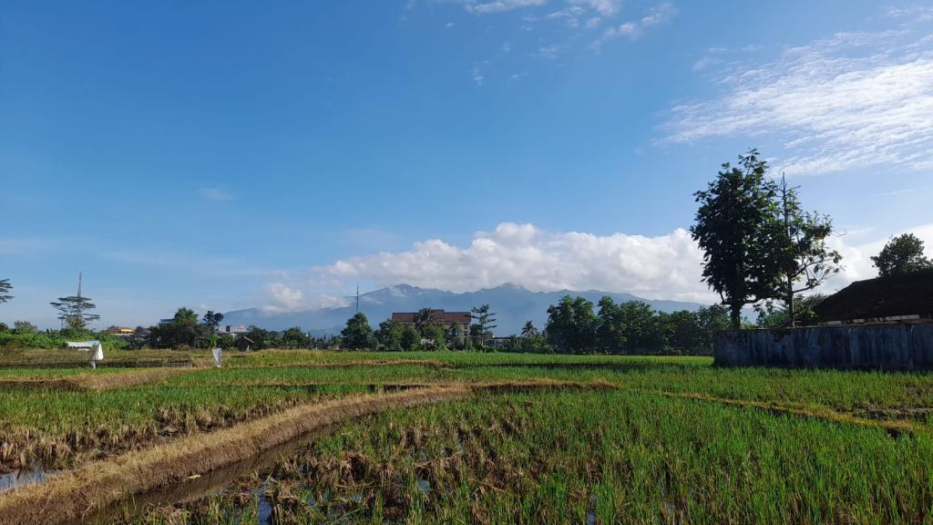 Prakiraan Cuaca Kabupaten Garut Hari Ini, Rabu 26 Agustus 2026