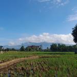 Prakiraan Cuaca Kabupaten Garut Hari Ini, Rabu 26 Agustus 2026