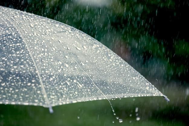 Prakiraan Cuaca Kabupaten Ciamis Hari Ini Jumat 29 November 2024, Siang hingga Sore Hari Hujan