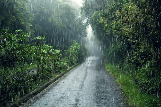 Prakiraan Cuaca Kota Banjar Hari Ini, Kamis 8 Mei 2025