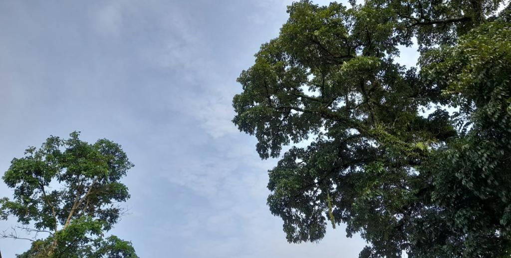 Prakiraan Cuaca Kota Banjar Hari Ini, Kamis 28 Mei 2026