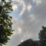 Prakiraan Cuaca Kabupaten Pangandaran Hari Ini, Rabu 22 April 2026