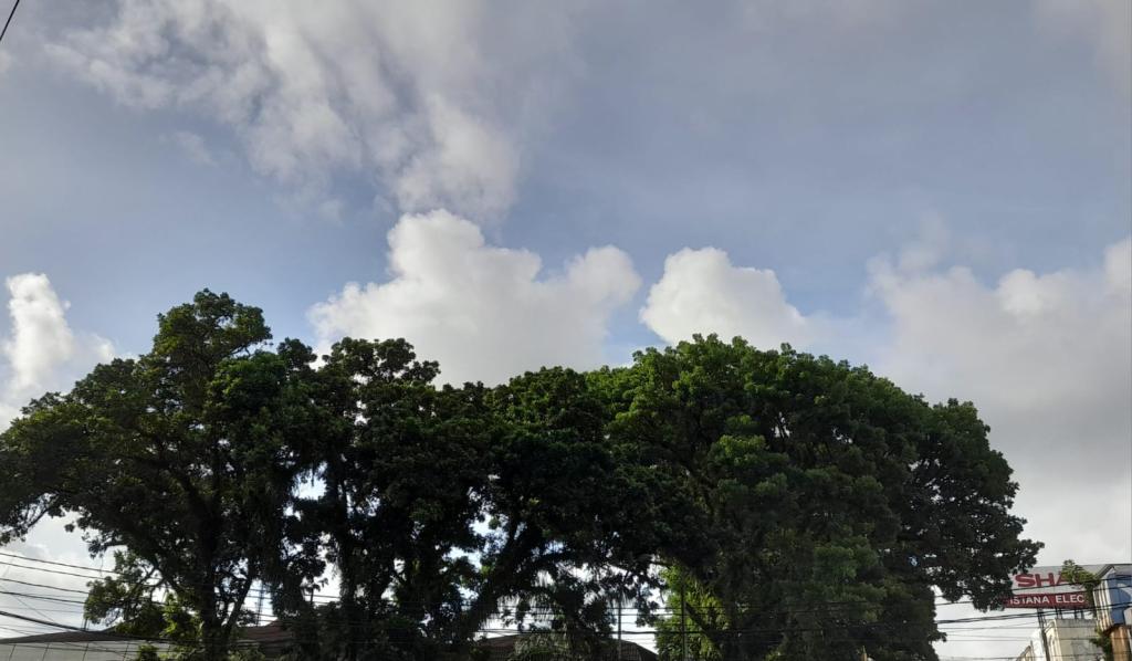 Prakiraan Cuaca Kabupaten Ciamis Hari Ini, Kamis 18 Desember 2025