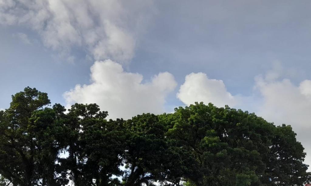 Prakiraan Cuaca Kabupaten Garut Hari Ini, Kamis 27 Agustus 2026