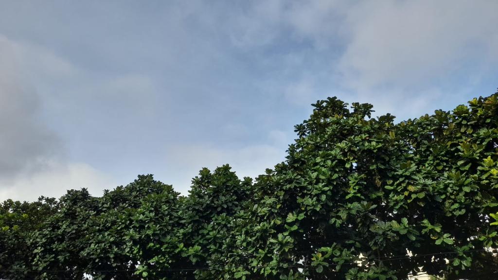 Prakiraan Cuaca Kabupaten Tasikmalaya Hari Ini, Senin 18 Mei 2026