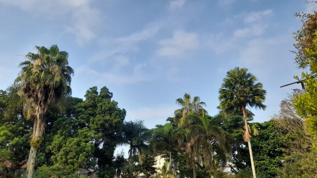 Prakiraan Cuaca Kabupaten Tasikmalaya Hari Ini, Selasa 11 Agustus 2026