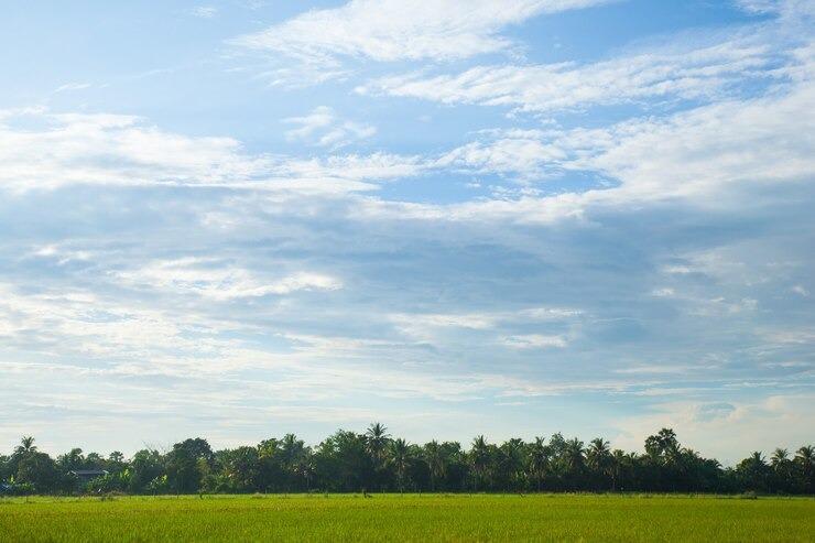 Prakiraan Cuaca BMKG Hari Ini Jumat 8 November 2024: Kota Tasikmalaya Berawan di Pagi Hari