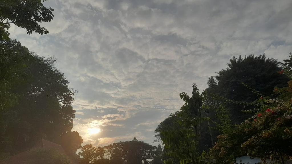 Prakiraan Cuaca Kabupaten Pangandaran Hari Ini, Selasa 27 Januari 2026