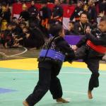 947 Pesilat dari Sabang hingga Merauke Adu Prestasi di Kejurnas Pencak Silat Galuh Pakuan Ciamis
