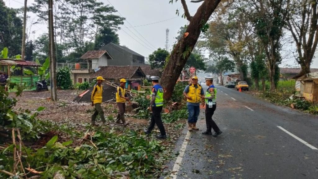 Antisipasi Pohon Tumbang, Satlantas Polres Tasikmalaya dan PUPR Lakukan Penebangan di Jalur Salebu
