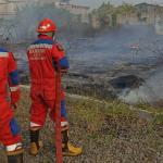 Bakar Sampah di Lahan Kering, Alang-Alang di Jalan Lukmanul Hakim Tasikmalaya Nyaris Ludes Terbakar